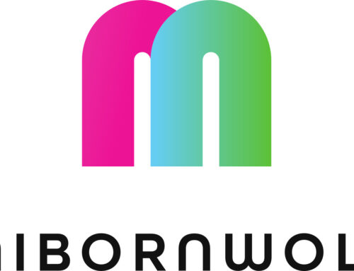 09.11 | Maibornwolff – Workshop